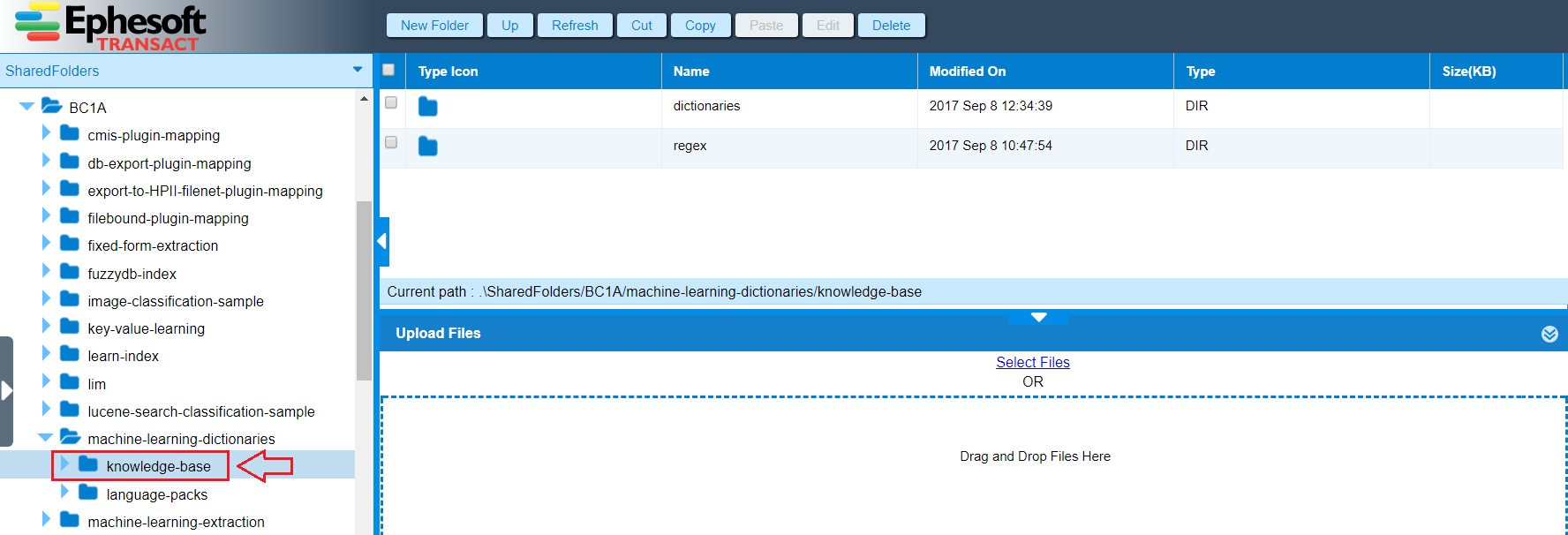 C:UsersEphesoftAppDataLocalMicrosoftWindowsINetCacheContent.Word25.png